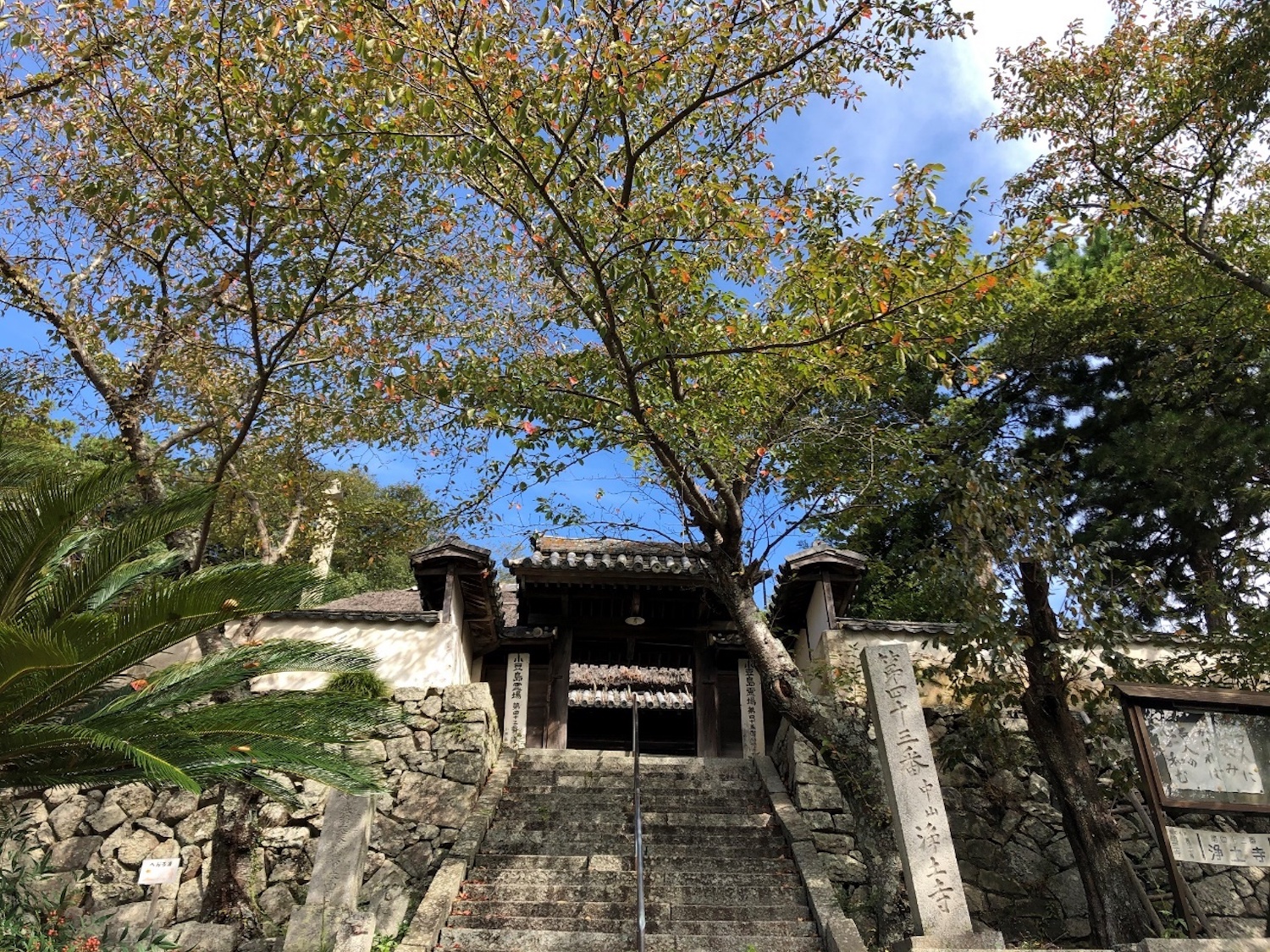 43番浄土寺の石段と山門