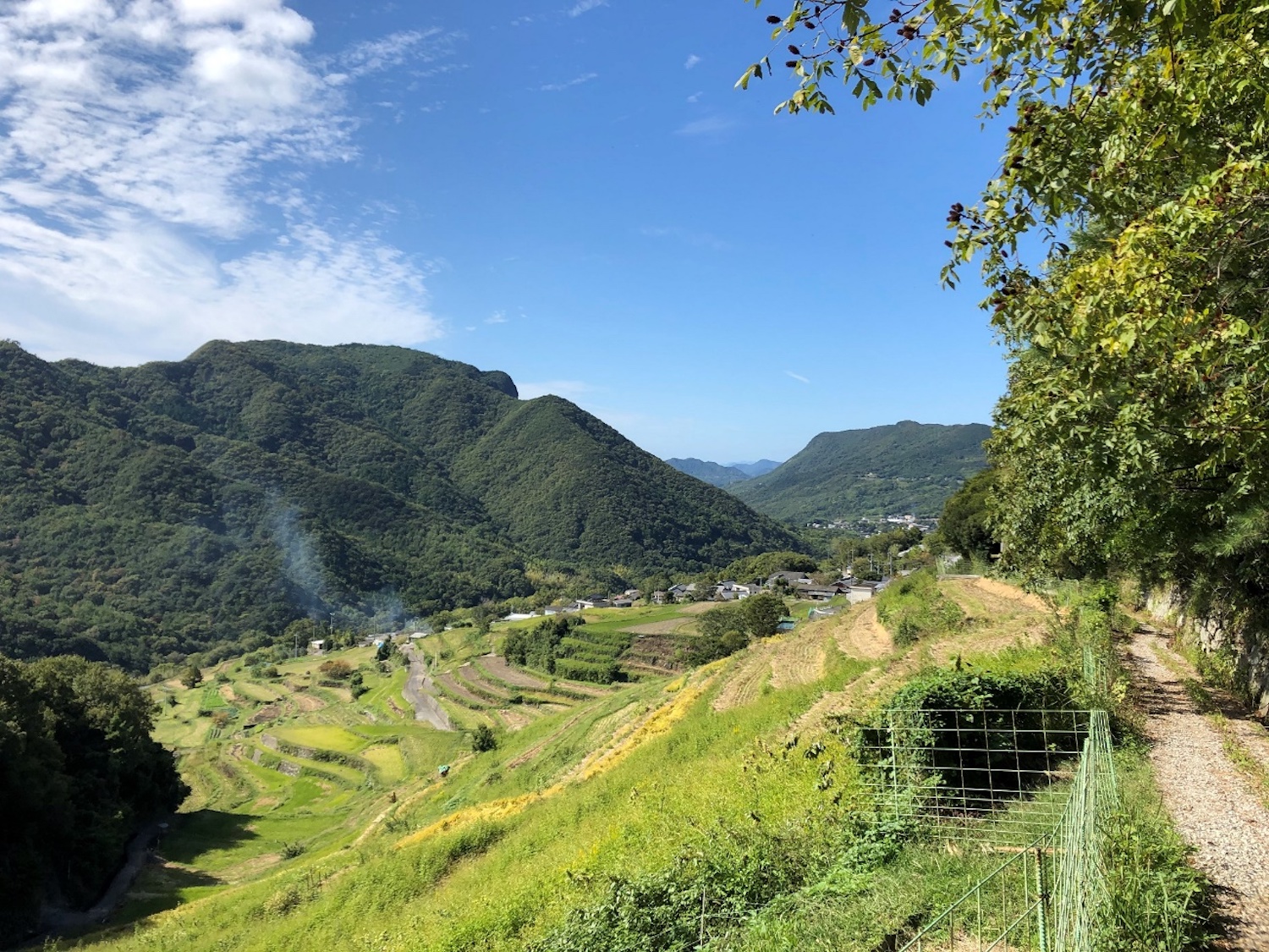 湯舟山の千枚田