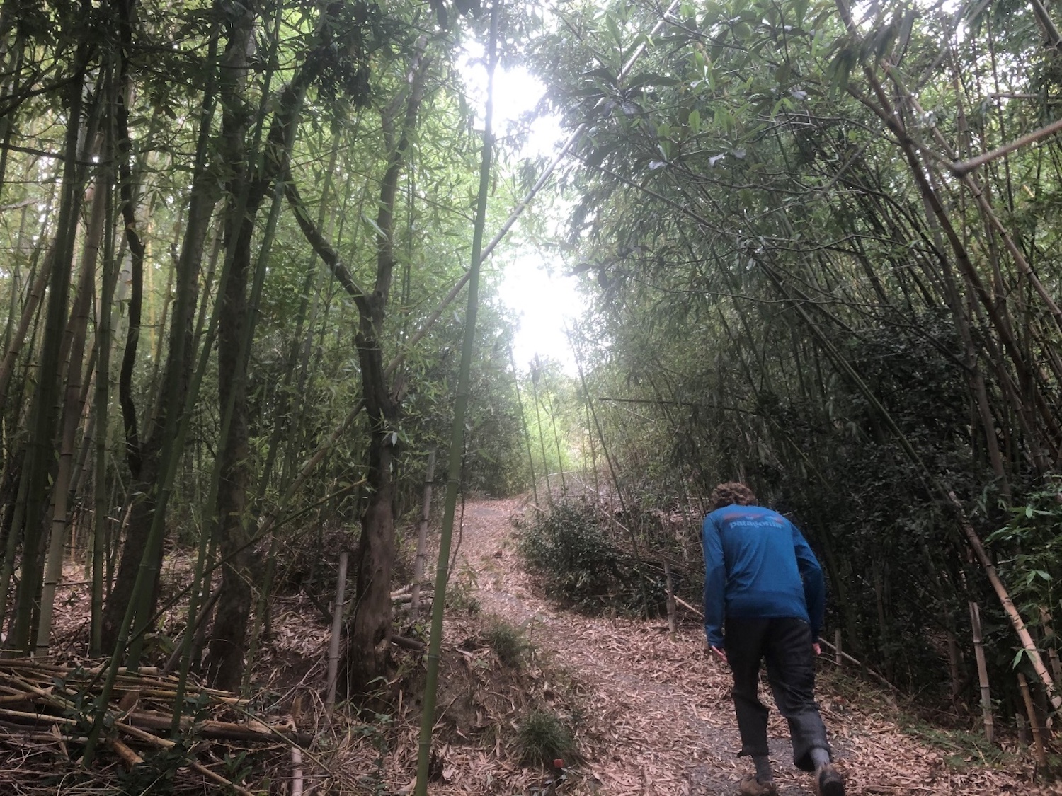 山道を登る人