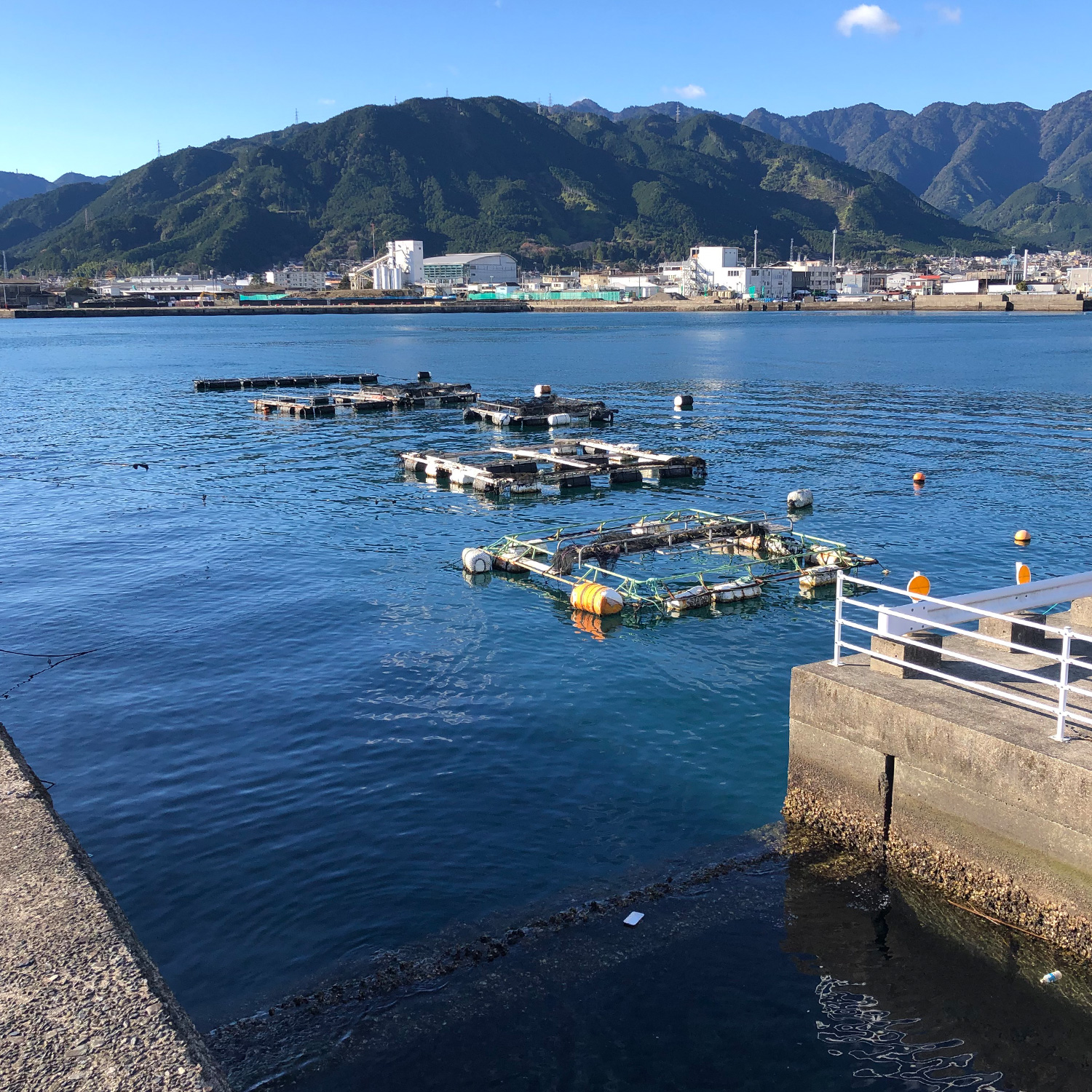 魚の養殖設備周り。