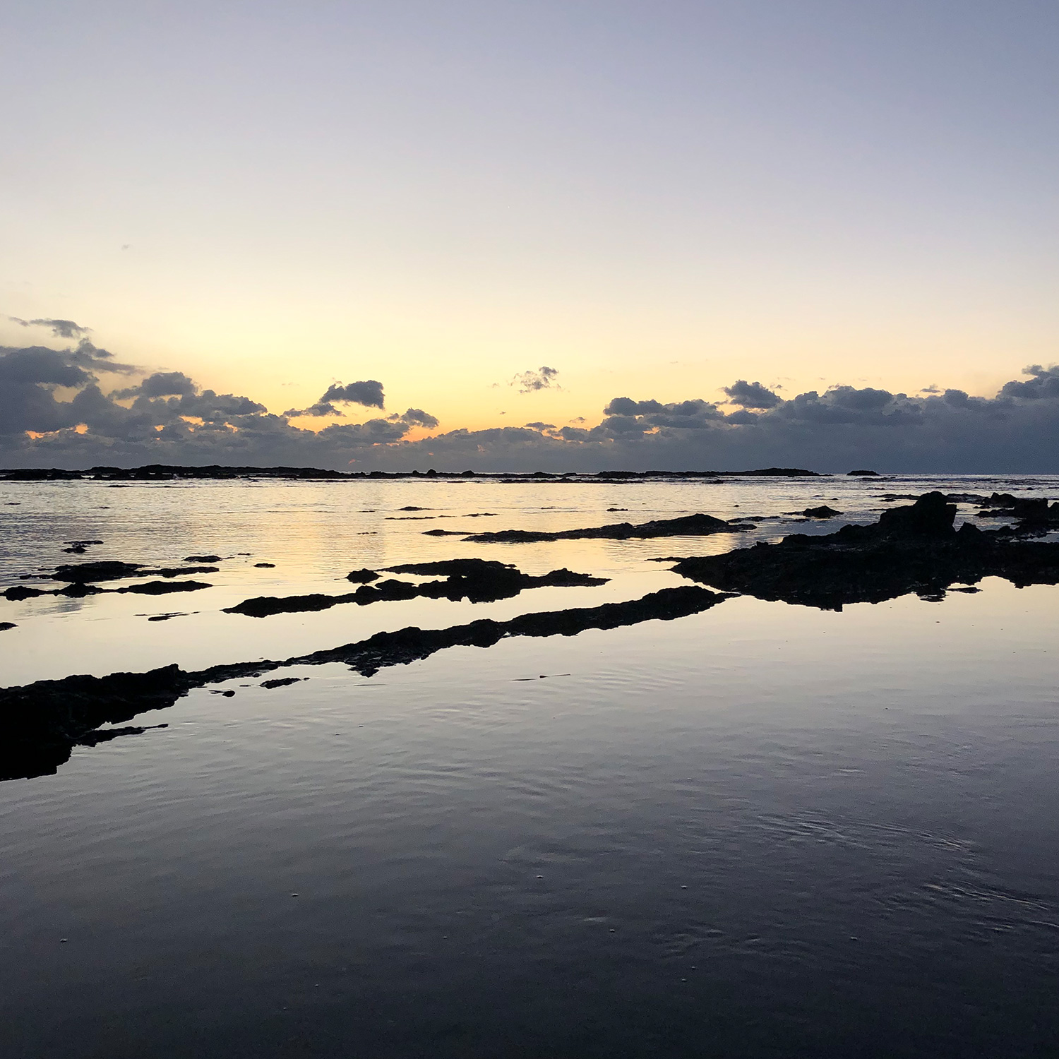 朝方の海。