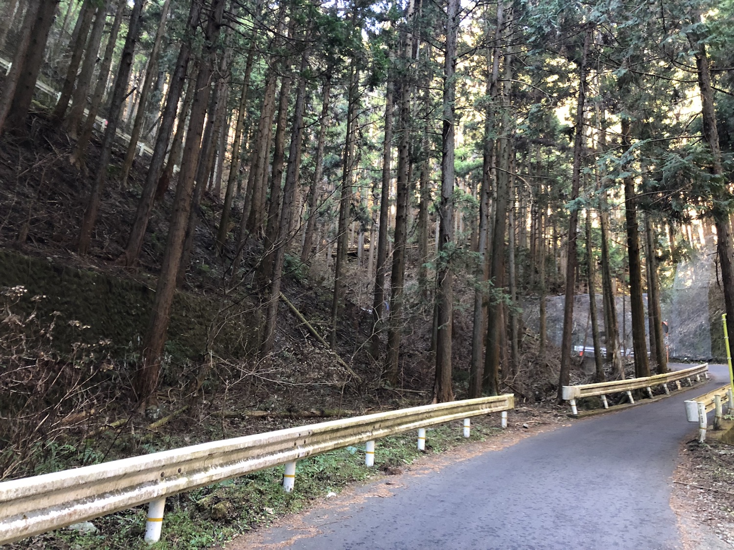 頭上に道が続く急勾配。