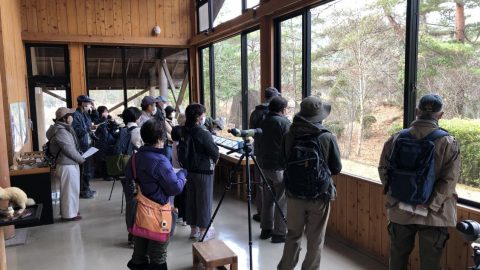 広島県おおの自然観察の森で野鳥観察 211212［読者投稿記事］