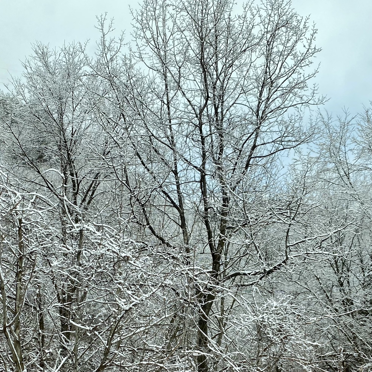 雪山イメージ