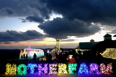 期間限定アトラクションの「イルミネーション光の花園」
