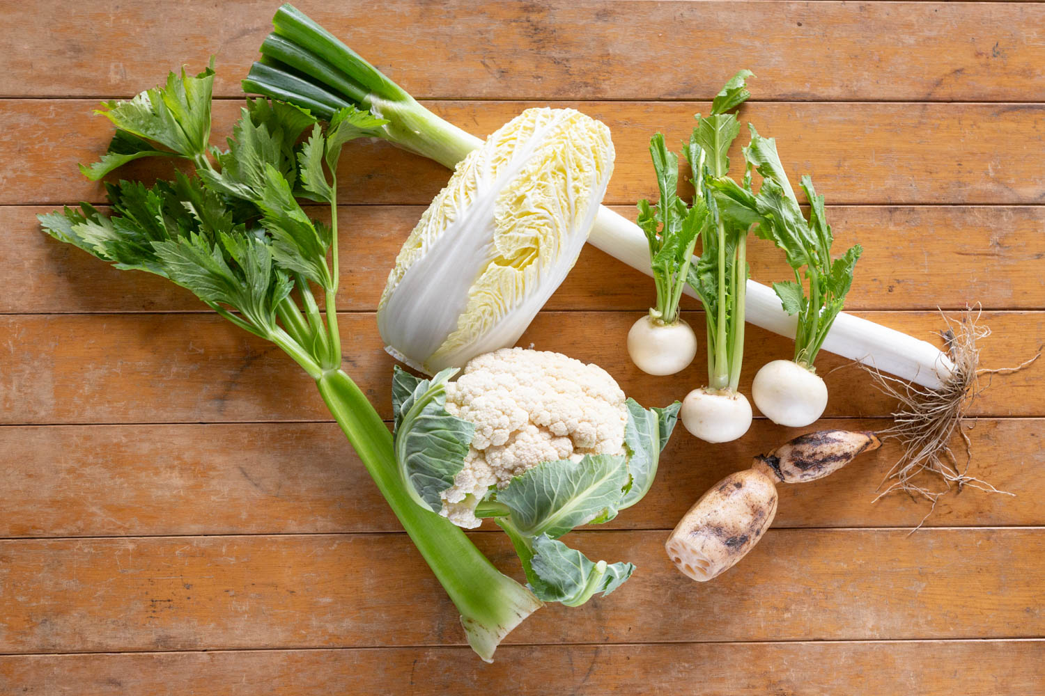 冬に旬を迎えた野菜、白菜など。