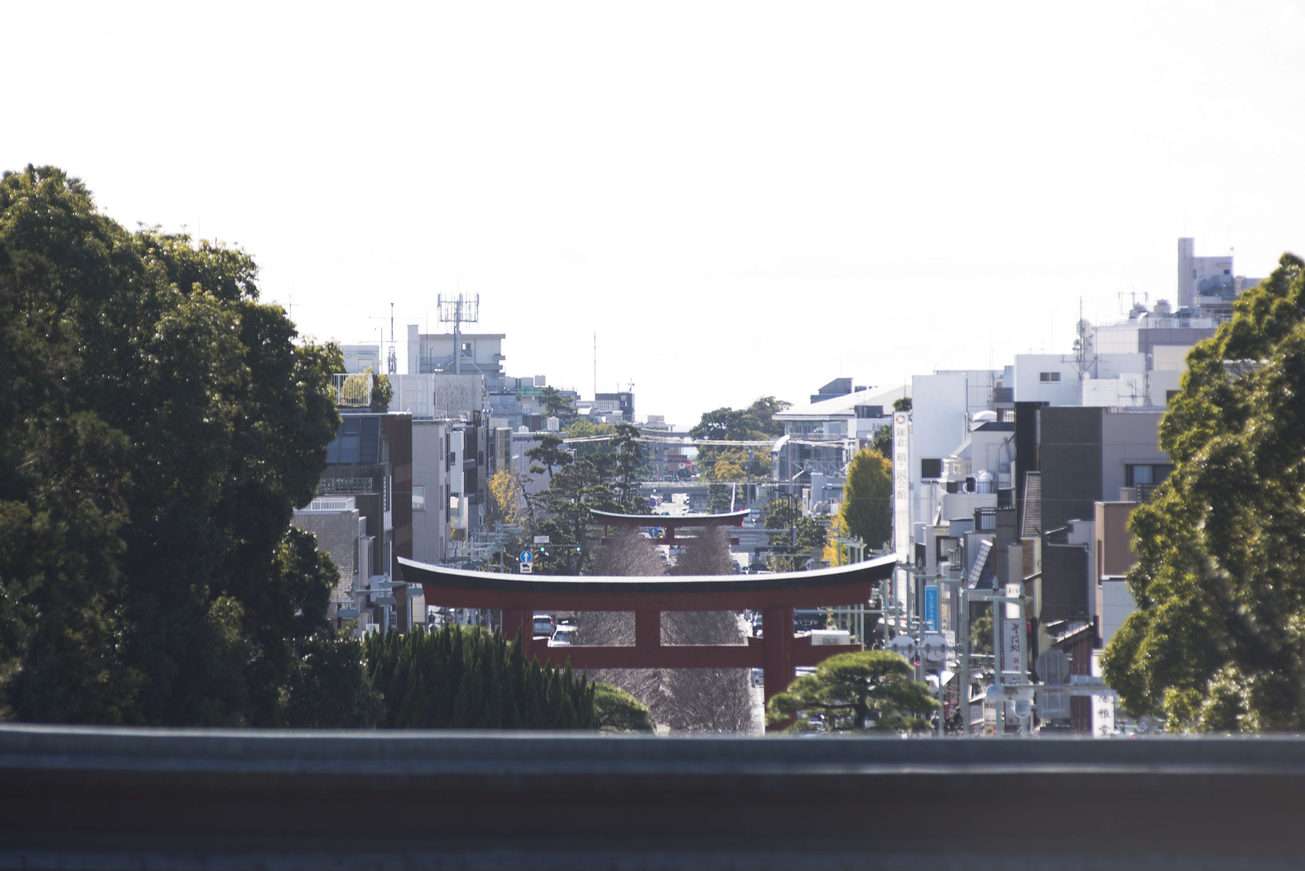 鶴岡八幡宮にて