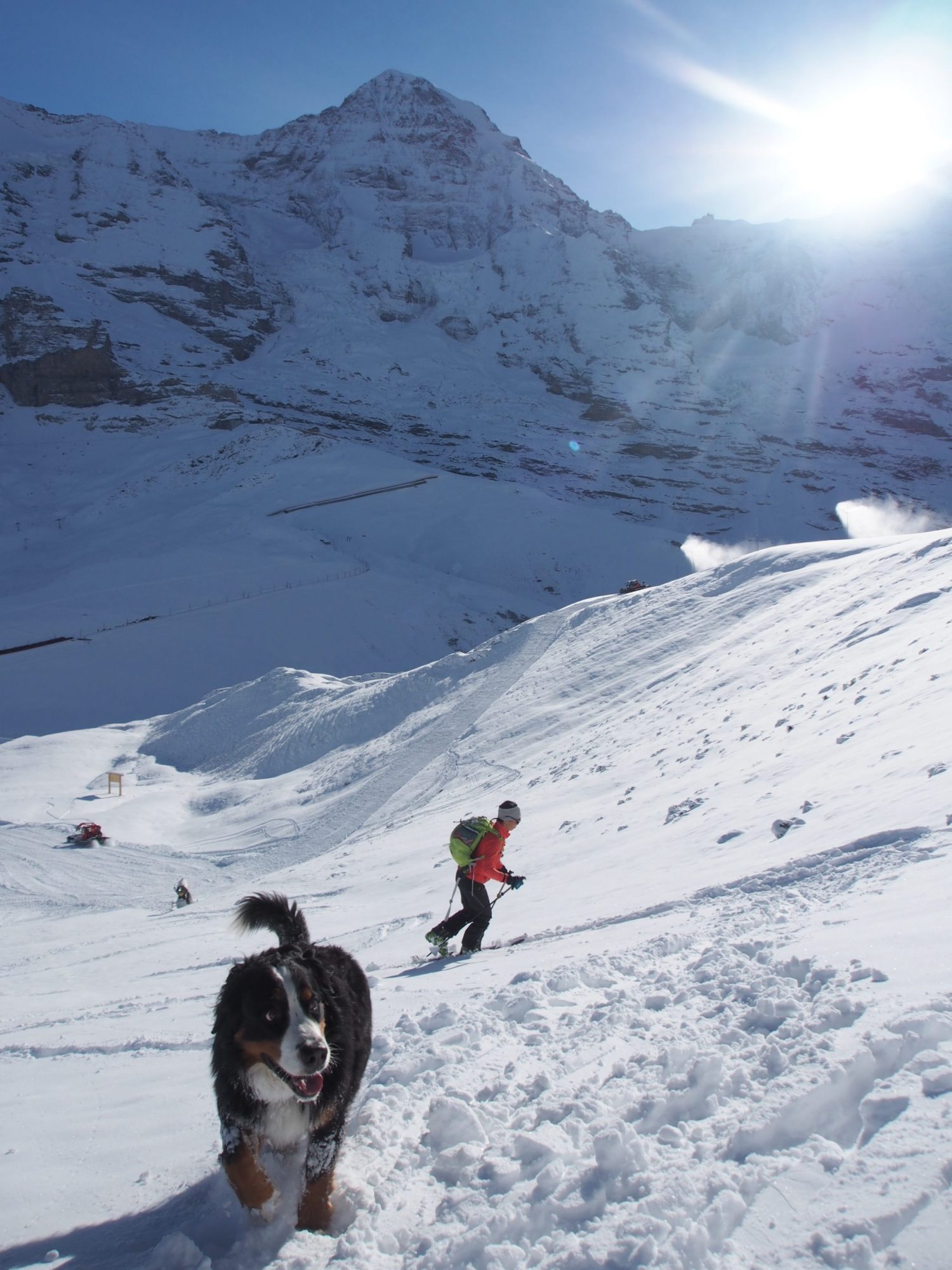ユングフラウを背にツアースキーで登る女性と幸せな犬