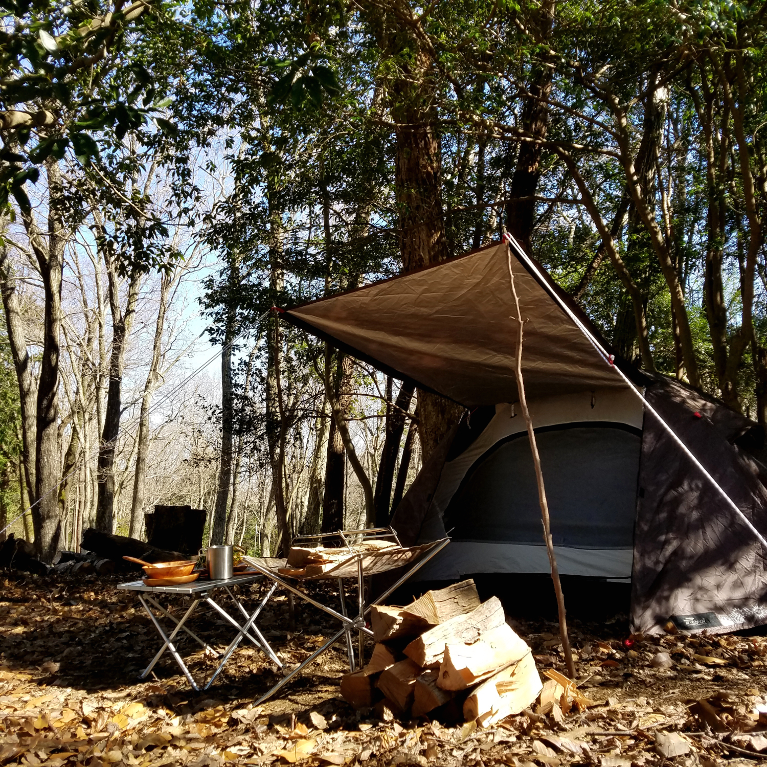 枝を使い、前室を作ったテント