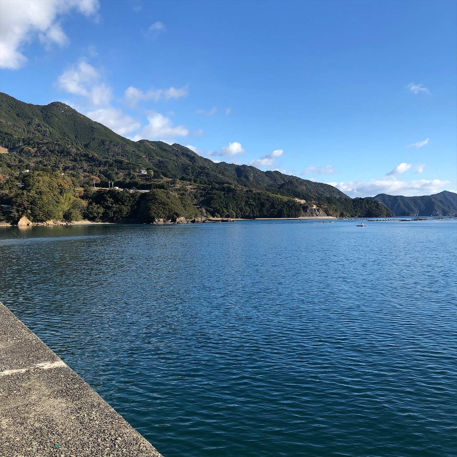 釣り場の海。