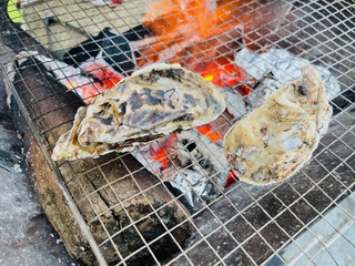 3月までが旬！博多湾が誇る絶品名物「唐泊恵比寿牡蠣」を食べにいこう