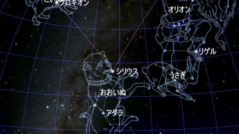 冬の大三角形を構成する「おおいぬ座」と「こいぬ座」はオリオンの猟犬なのか