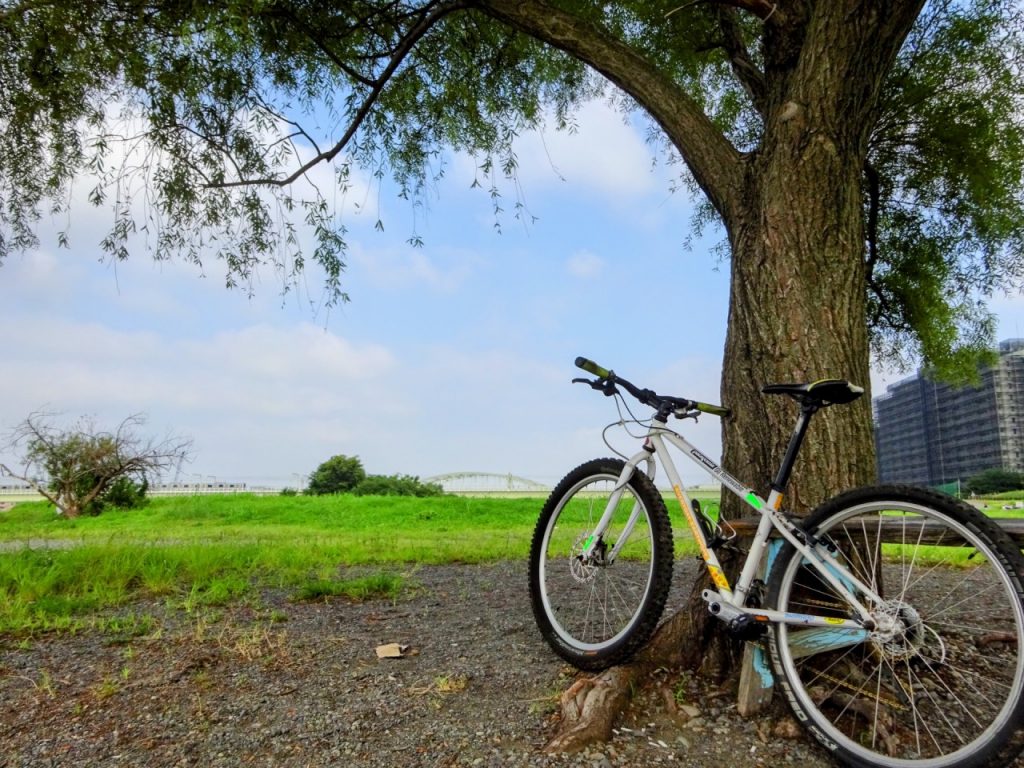 見晴らしのいい公園と自転車