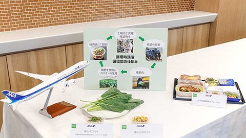 循環型の仕組みに注目！ANA国際線エコノミークラス機内食のサラダがサステナブルに進化