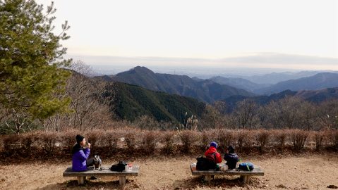 ここはほんとうに東京!?「密にならない」御岳山で子連れ＆犬連れトレッキング