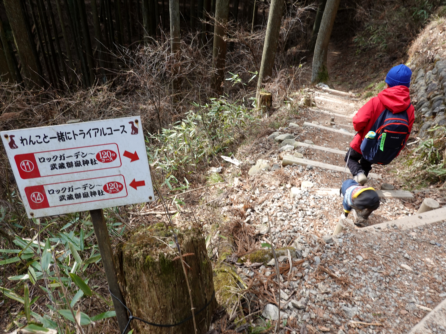 御岳山には親切な看板がいろいろありました