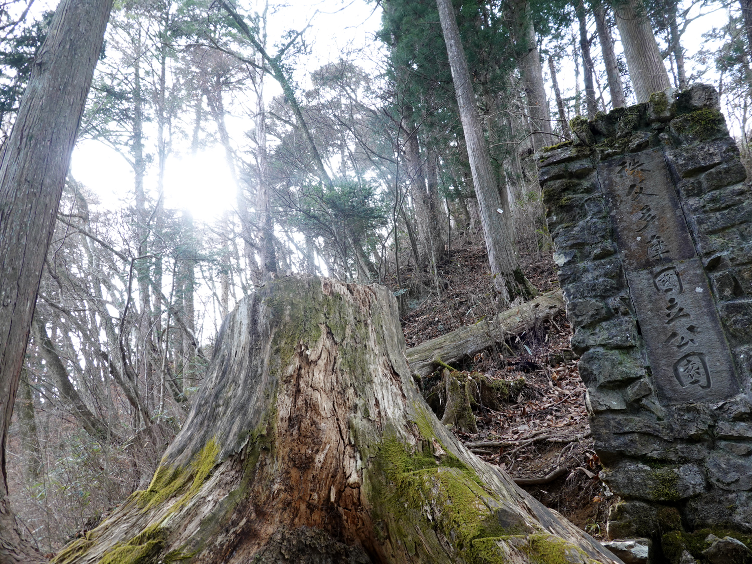 ロックガーデン入口の石塀