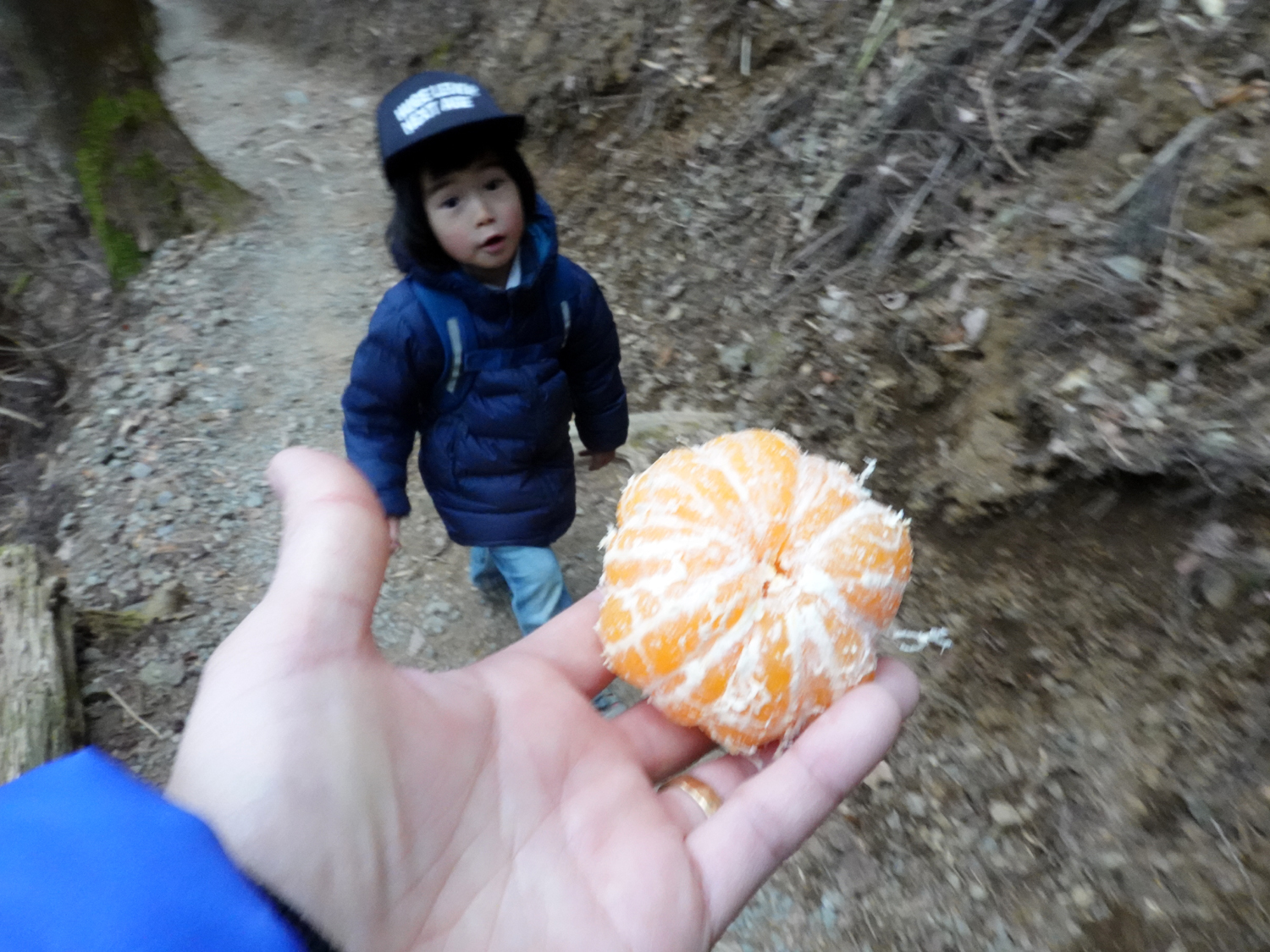 もう片方のポケットから出てきたミカン