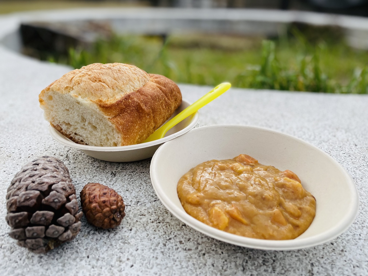 フランスパンとレトルトカレー。左に松ぼっくりふたつ