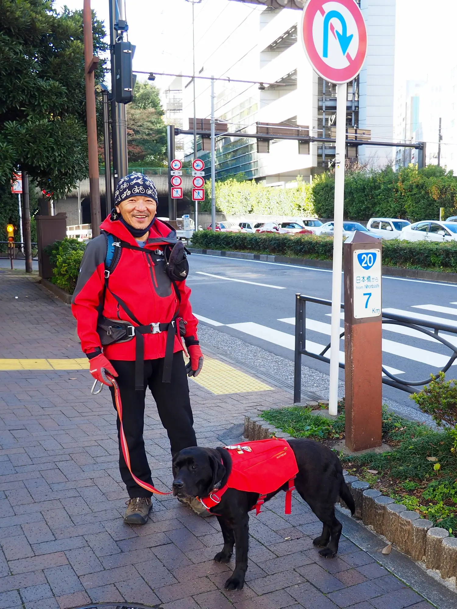 黒ラブと東京の山を歩く 新宿 青山 浅草の低山を犬連れでハイキングしてきた ペット 犬 猫 Be Pal キャンプ アウトドア 自然派生活の情報源ビーパル 黒ラブと東京の山を歩く 新宿 青山 浅草の低山を犬連れでハイキングしてきた ペット 犬 猫 Be Pal キャンプ アウトドア 自然派生活の情報源ビーパル