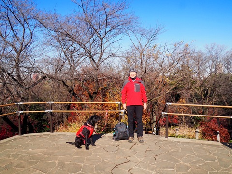 黒い犬とハイカー