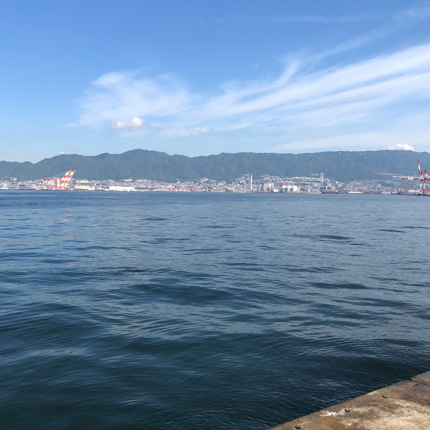 釣り場の風景。