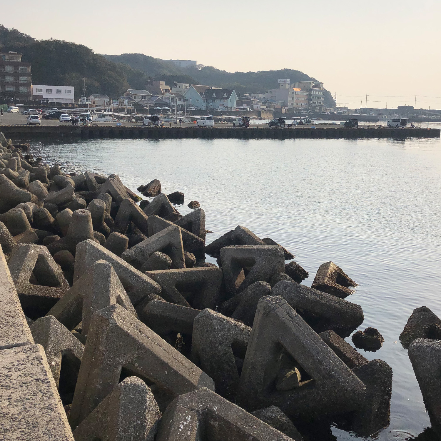 釣り場風景。