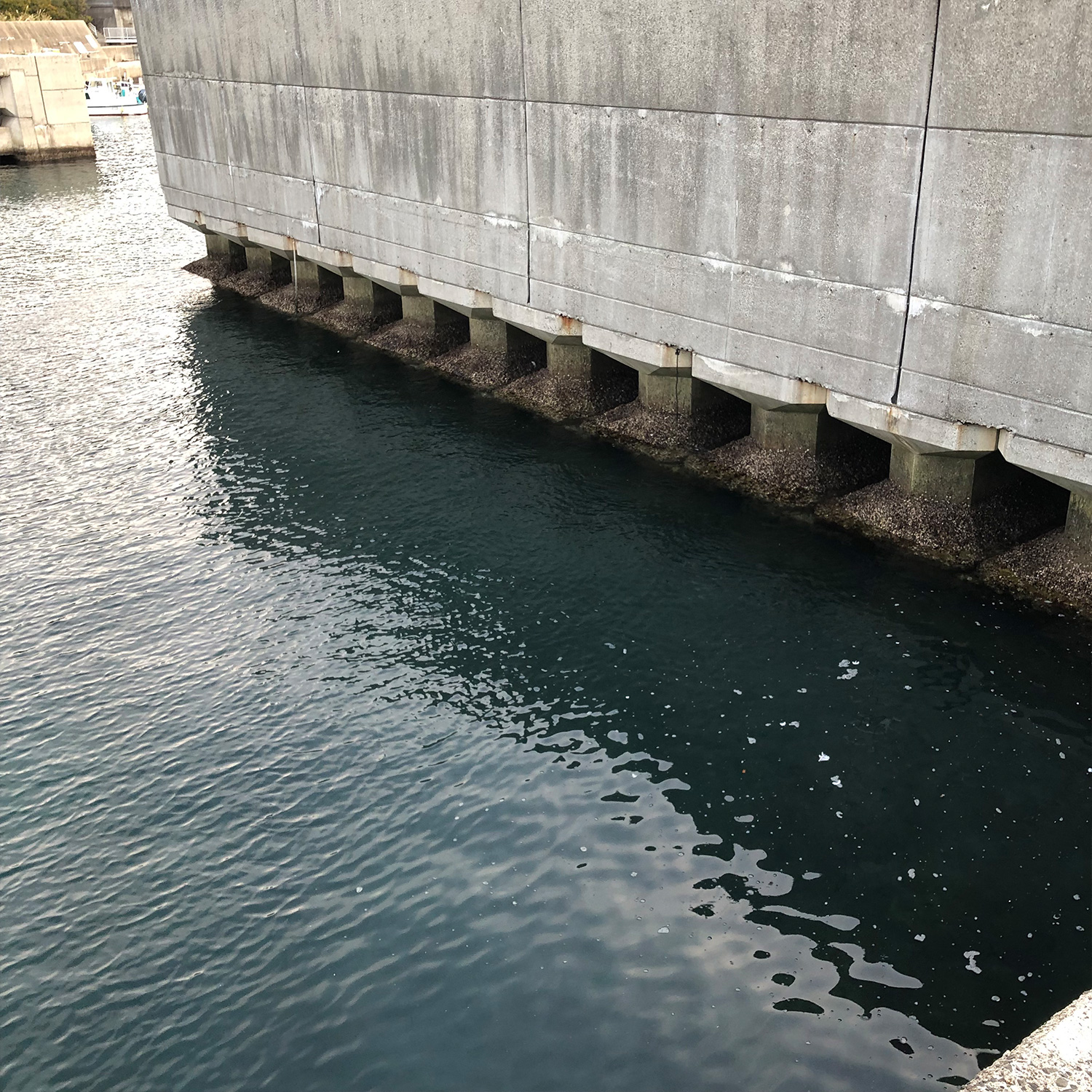 堤防の際にある空洞。