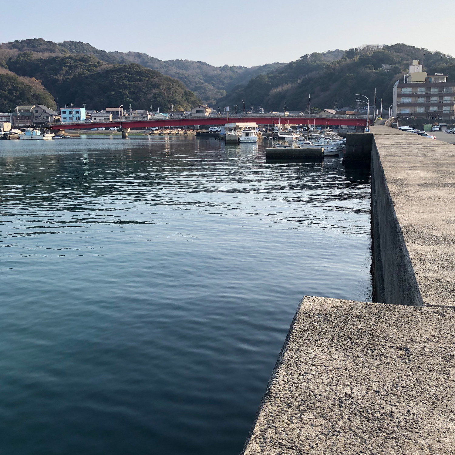 釣り場風景。