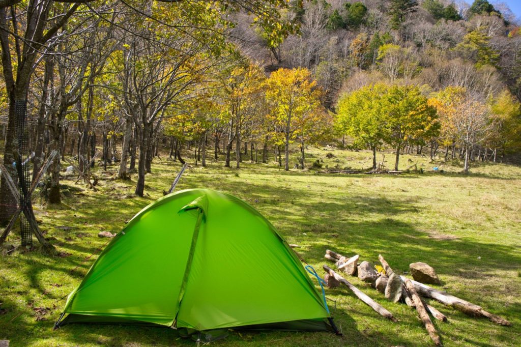 森の中緑色のテント