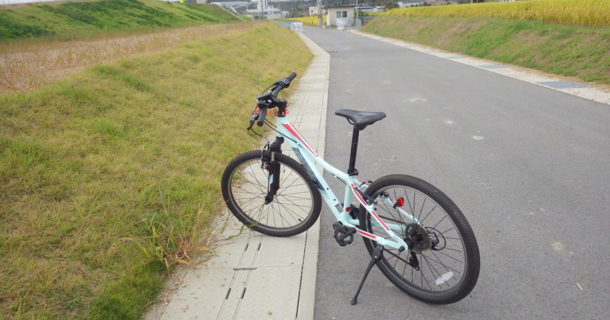 BMW マウンテンバイク ブラック　折りたたみ 26インチアルミ折りたたみマウンテンバイク 18段変速 Fleck BM