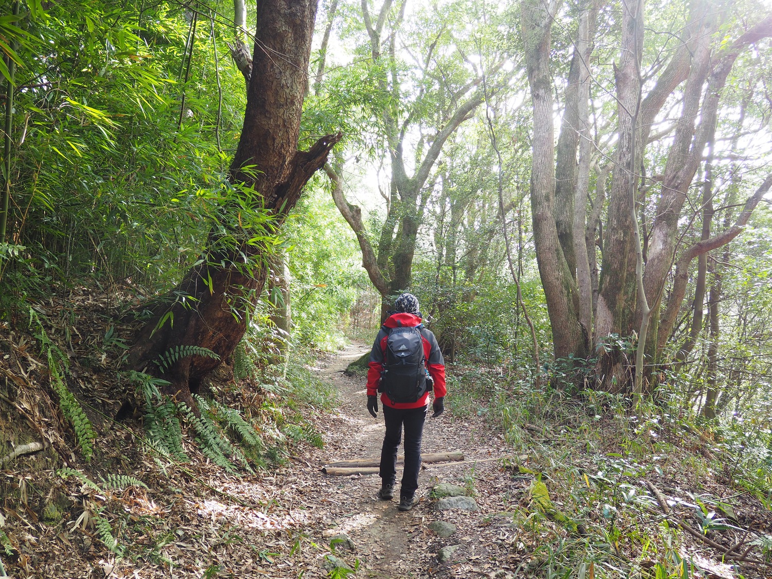 六甲山を歩く