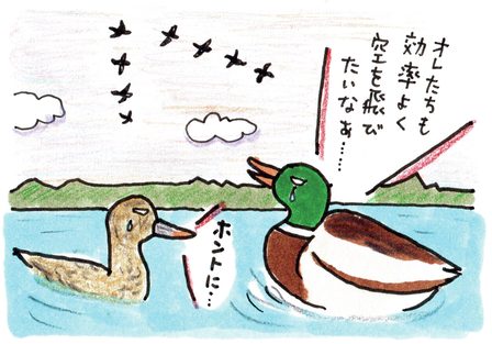 「俺たちも効率よく空を飛びたいなあ」と言っているカモのイラスト