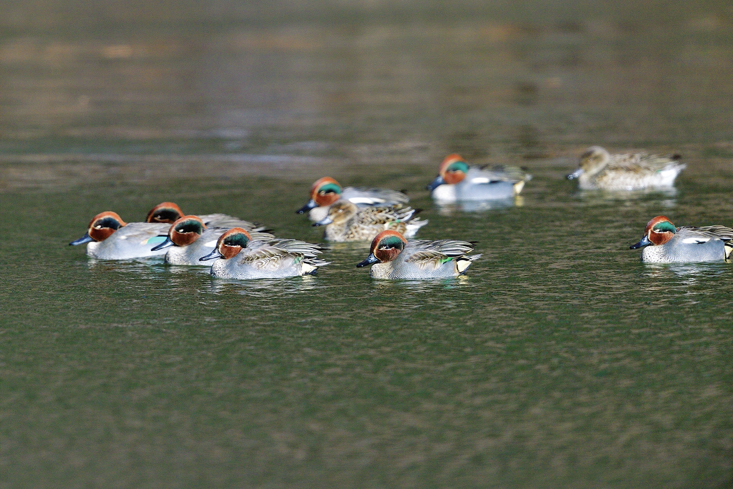 9692912046225cbcc33cd70_466208