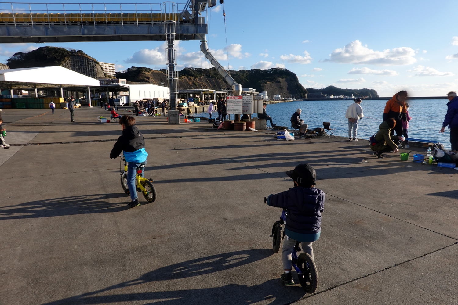 賑わう勝浦漁港