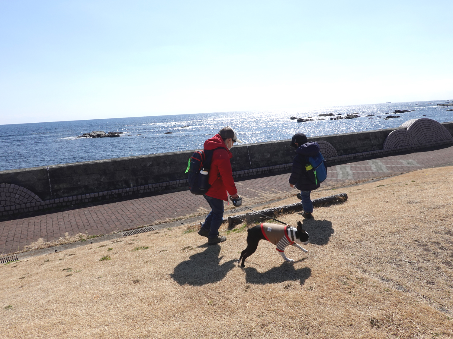 道の駅ちくら潮風王国にクルマを止め歩きはじめました