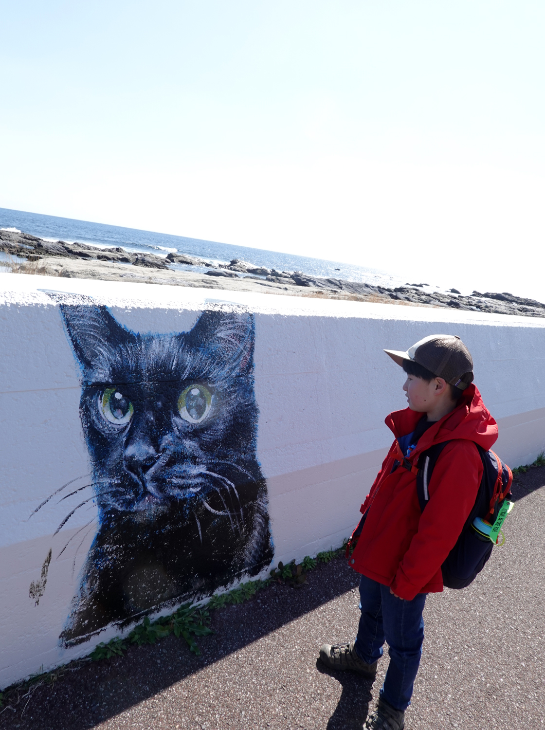 猫が描かれた防波堤