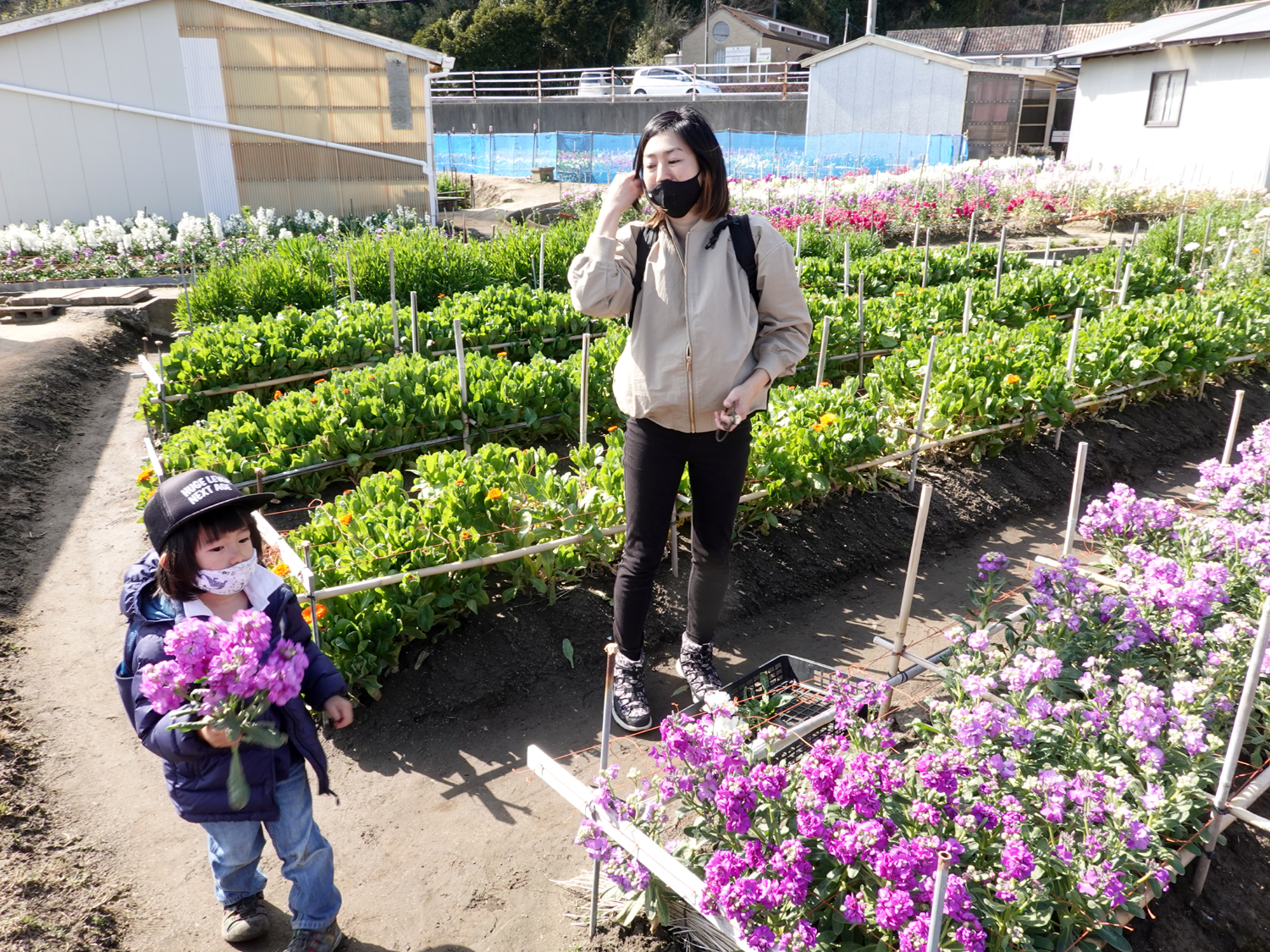 足下が土の箇所もあるのでスニーカーなど歩きやすい靴がおすすめ