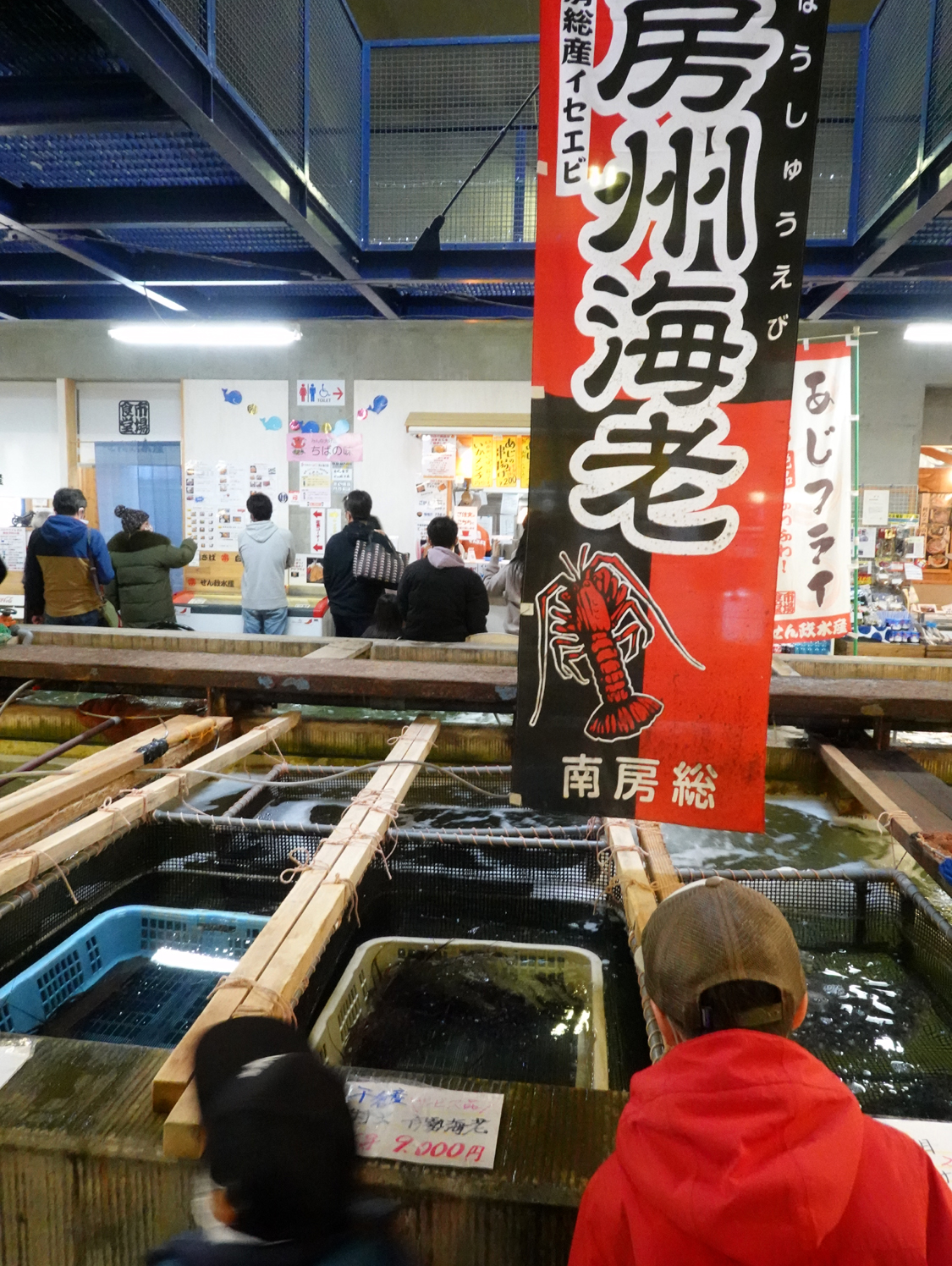 館内のど真ん中に設置された鮮魚のイケス