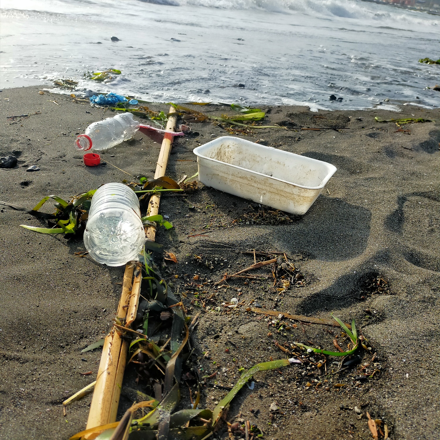 海岸にペットボトル等のプラスチックゴミが転がっている。