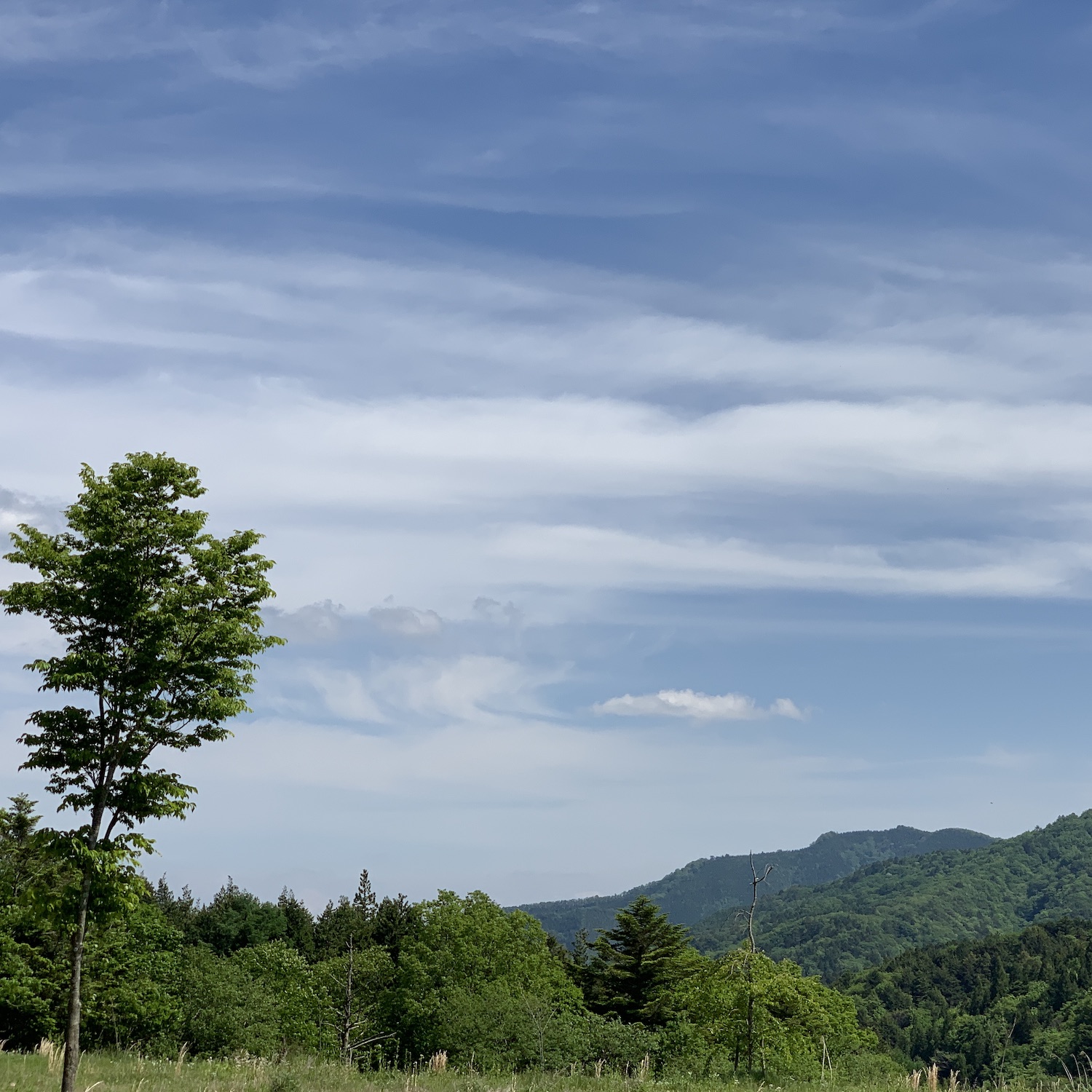 春の山