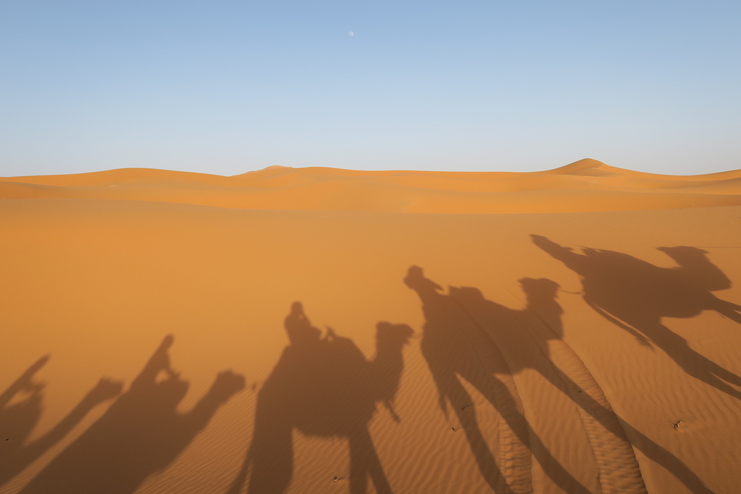 モロッコのサハラ砂漠ラクダツアー