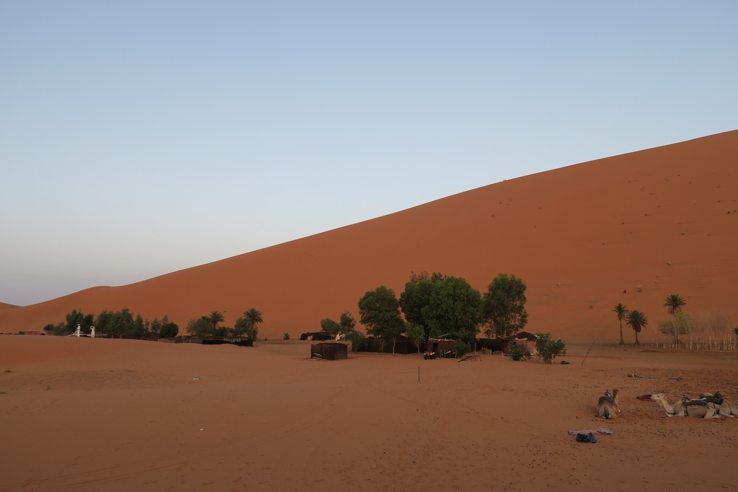 モロッコ、サハラ砂漠のラクダツアー