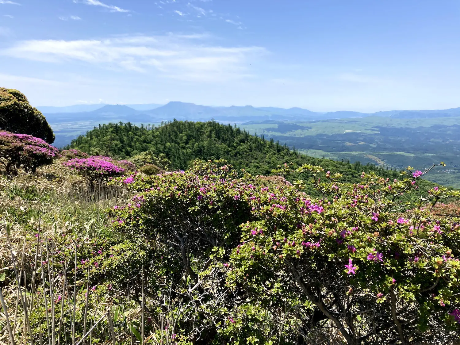 新緑ハイキングにオススメ 大分県の 猟師岳 合頭山 の日帰り登山 山 ハイキング クライミング Be Pal キャンプ アウトドア 自然派生活の情報源ビーパル