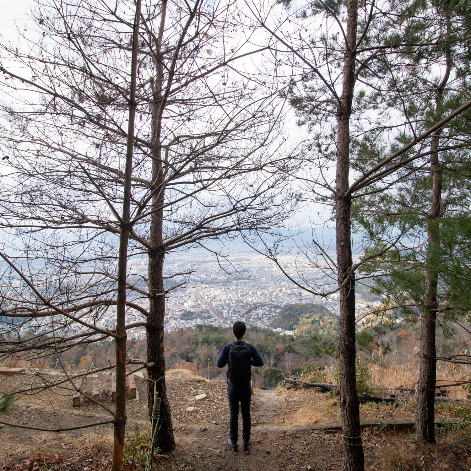 男性が山頂から町を見下ろしている。