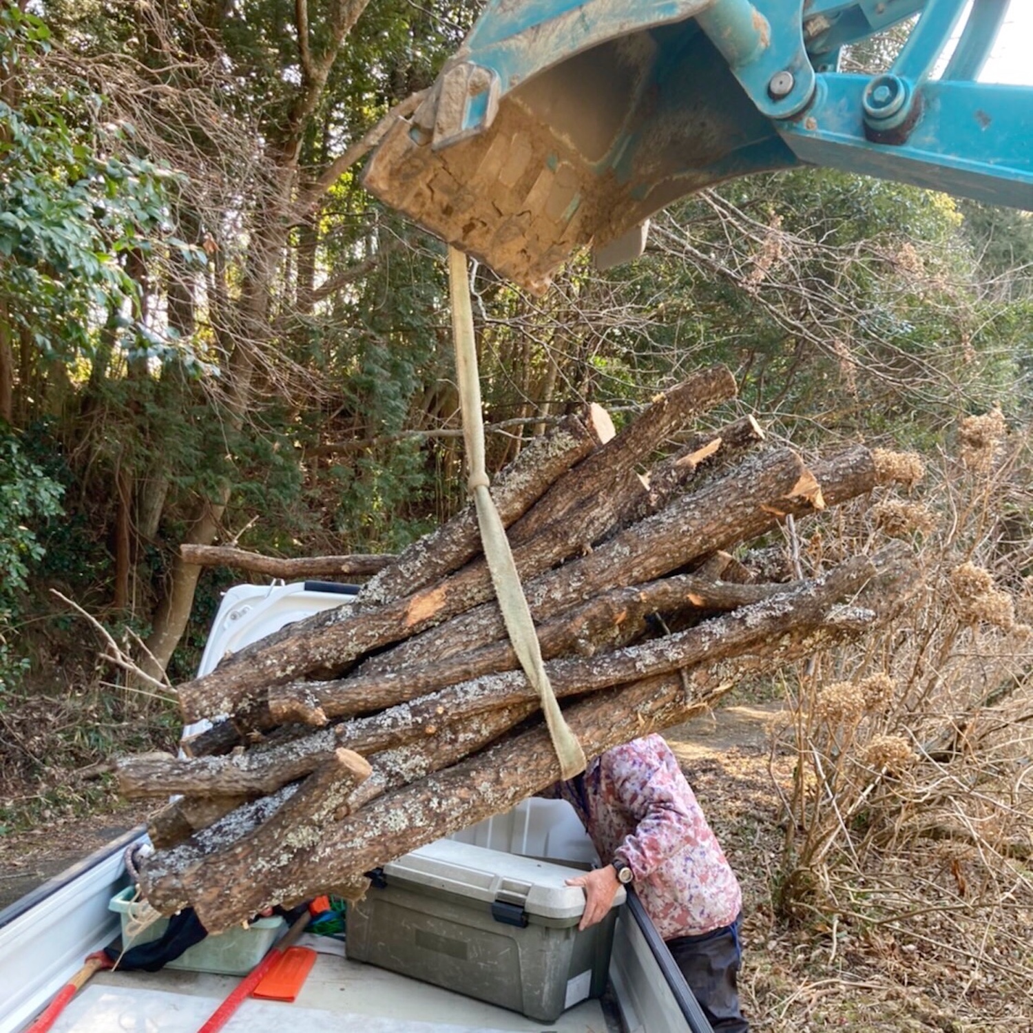 カットした木をショベルカーに吊るして運ぶ