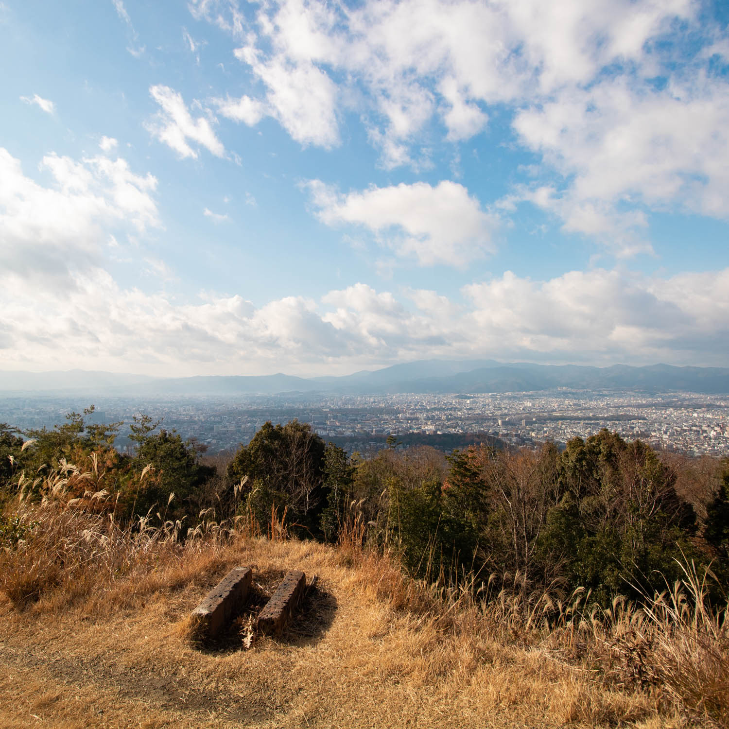 山頂から町が一望できる。