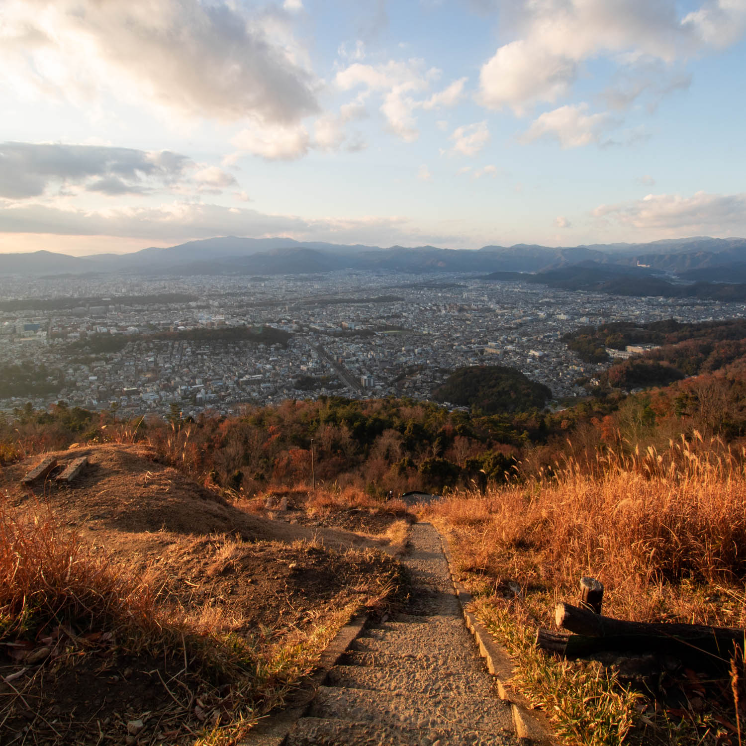 山頂から、町が一望できる。