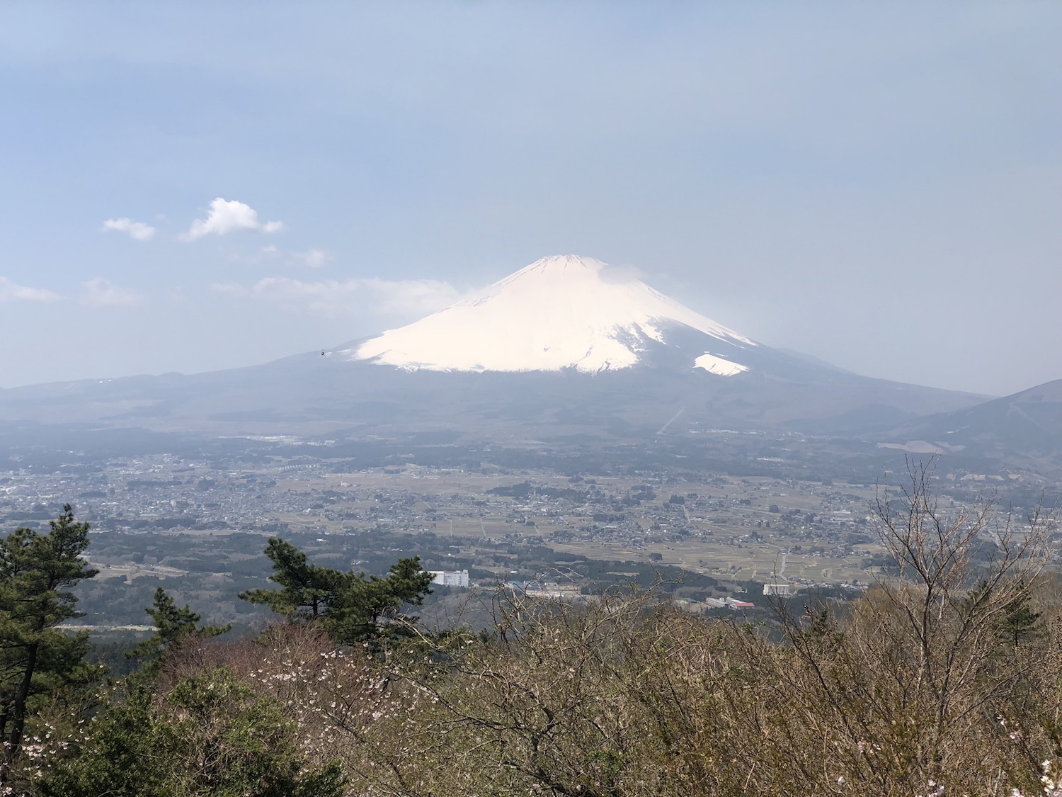 とんでもないデカさの富士山。