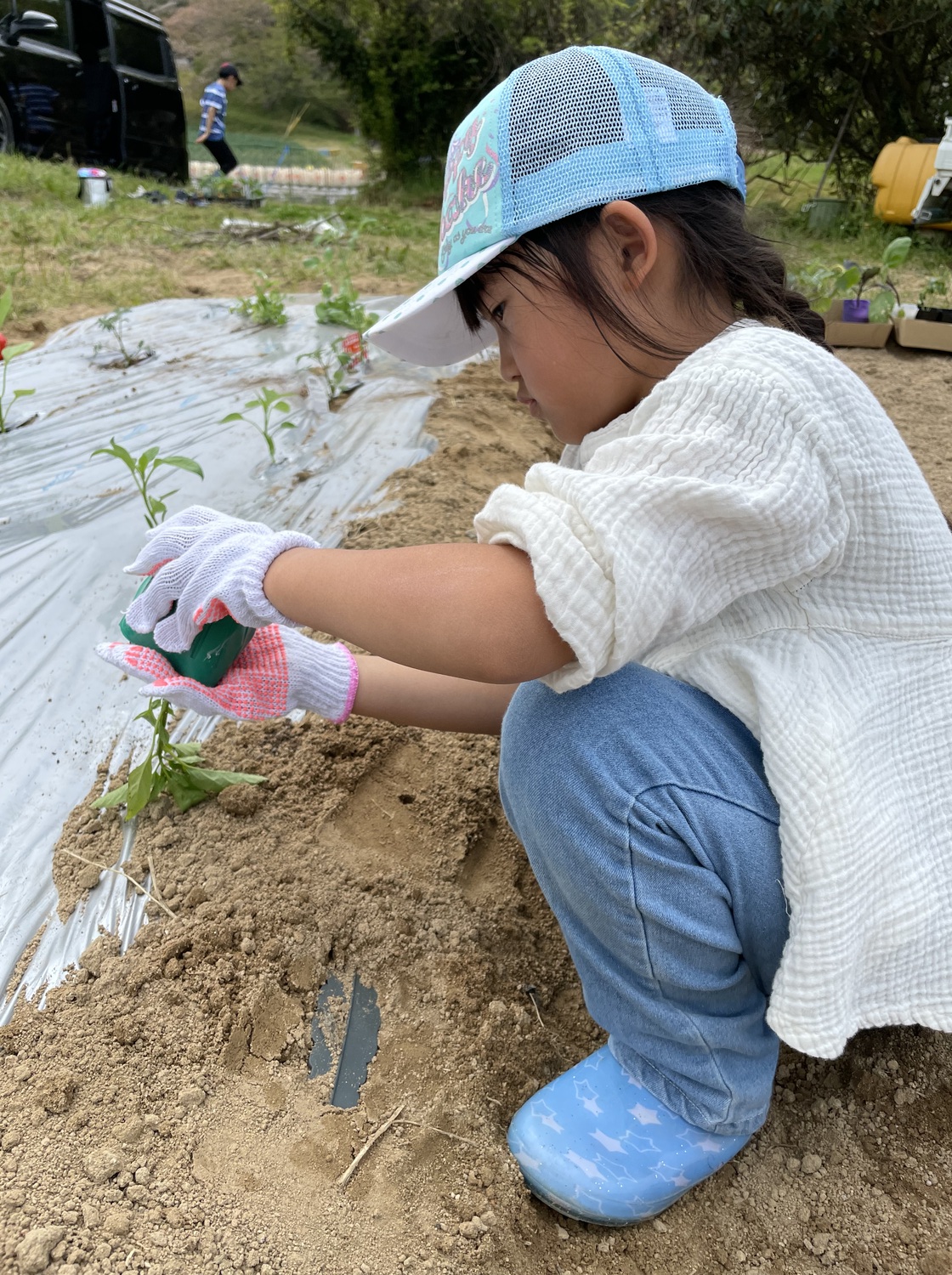 子供が畑で苗を植えようとしている